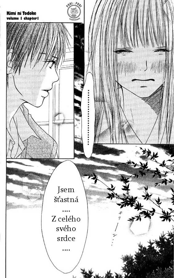 pg41.jpg
