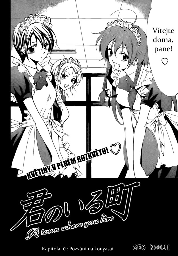 Kimi-no-Iru-Machi-55_02.jpg