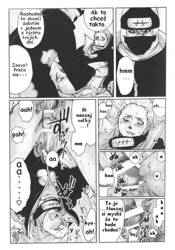 pg07.jpg