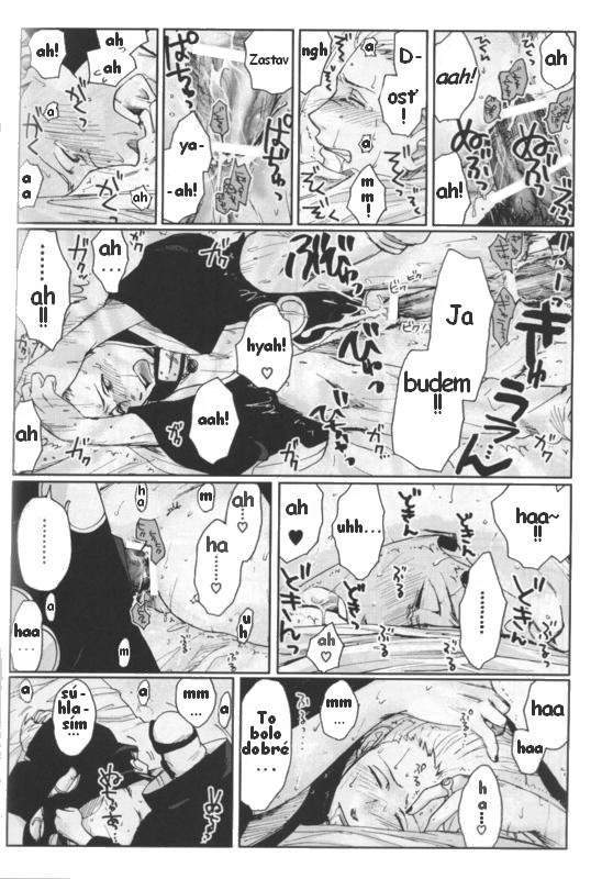 pg10.jpg