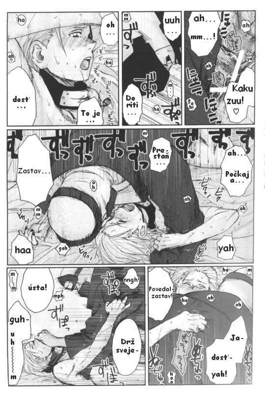 pg15.jpg