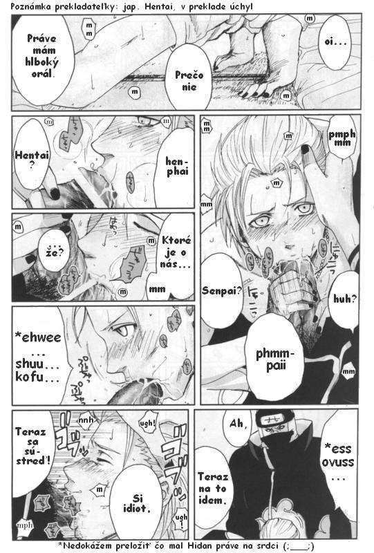 pg19.jpg
