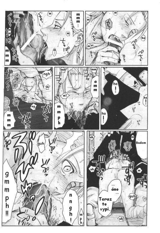 pg20.jpg