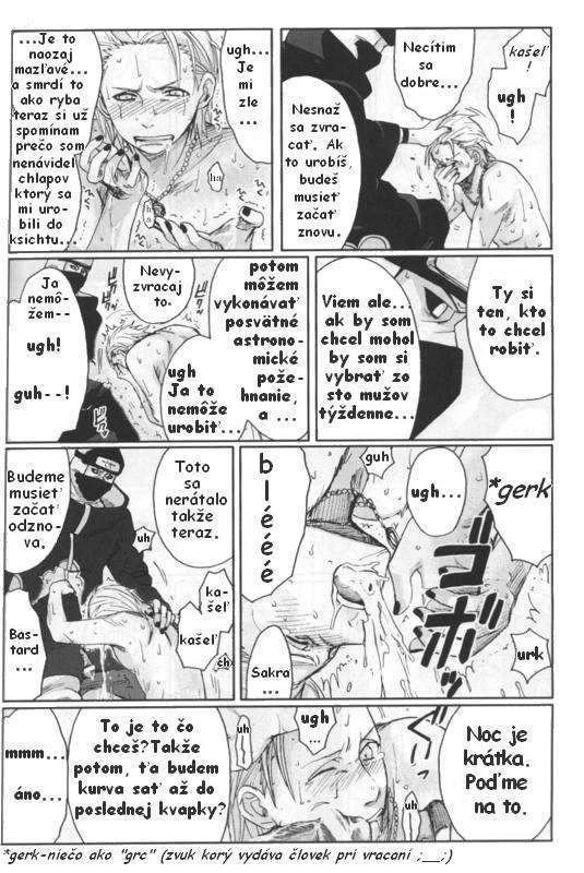 pg22.jpg