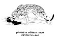 sex_pistols_ch1_39_40
